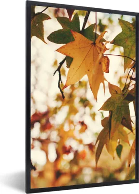 Produktbild von MuchoWow® Gerahmtes Poster Natur - Herbstlaub - Rustikal 60x90 cm - Poster mit Schwarzem Bilderrahmen Wandposter Rahmen Foto Bilder - Kunst