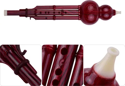 Obrázek produktu pro 2-tone C-key Hulusi Gourd Cucurbit Flute Resin Pipes Chinese Traditional Instrument with Knot Carrying Bag for Beginners Music Amatéři