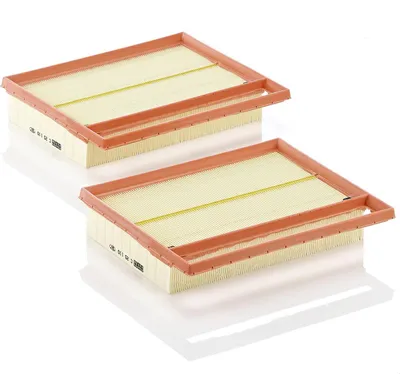 Produktbild von Luftfilter MANN-FILTER C 25 110-2 passend für MERCEDES-BENZ S-Klasse Limousine (W221) Filtereinsatz