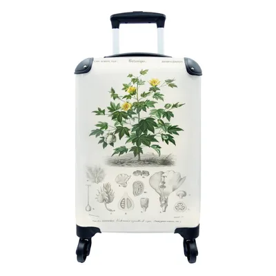 Produktbild von MuchoWow® Koffer Handgepäck Trolley Rollkoffer Kleine Reisekoffer mit 4 Rollen - Pflanze - Blume - Botanik - Cabin Size < 55x40x23 cm & 55x40x20 cm - Fotokoffer - Kabinenkoffer - Boardgepäck - Reise-Box - Reisekoffer - Reisegepäck - Koffer mit Bild - Trolley für Kinder