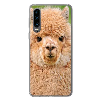 Produktbild von MuchoWow® Handyhülle Schutzhülle Hülle für Huawei P30 Alpaka - Wolle - Braun Silikon Softcase Handy Hülle - Kartenbesitzer