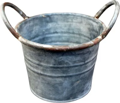 Immagine prodotto di Vaso da fiori con manici D13cm