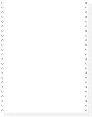 Immagine prodotto di EXACOMPTA Carta per computer, 240 mm x 12" (30,48 cm)