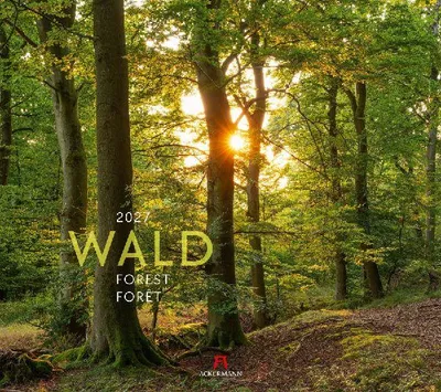 Produktbild von Ackermann Kunstverlag Wald Kalender 2027, 54x48 cm, Spiralbindung, dreisprachig
