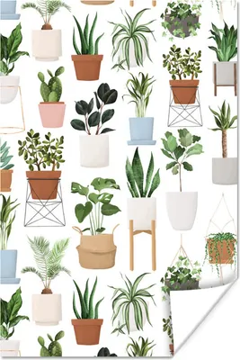 Produktbild von MuchoWow® Poster Pflanzen - Pastell - Weiß 80x120 cm - Papierdruck