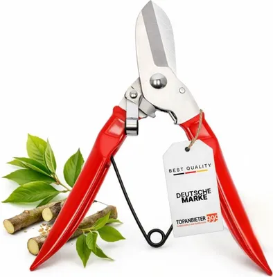 Produktbild von Astschere 16,8 cm, Bypass-Schere für Äste, breite Klingen, rutschfeste Griffe, Federmechanik