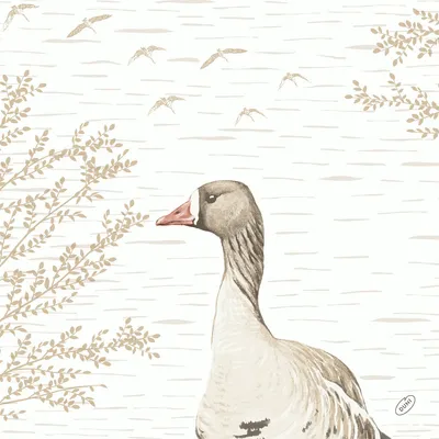 Produktbild von Duni  Dunisoft Servietten Wood & Goose 40x40cm 60er