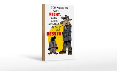 Produktbild von Holzschild Spruch 12x18cm meine Meinung gefällt mir besser