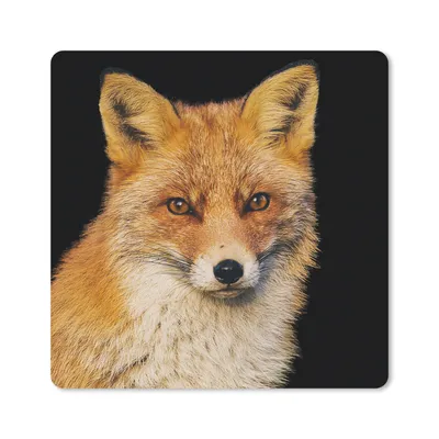 Produktbild von MuchoWow® Mauspad Mousepad Fuchs - Rot - Schwarz 20x20 cm - Mousepads - Maus Mat - Pad - Mausunterlage - Desk Mat - Bureauartikeln