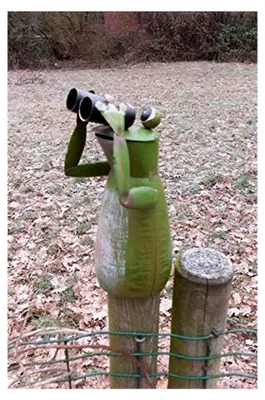 Produktbild von Zaunfigur Frosch mit Fernglas 16 cm