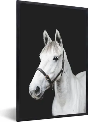 Produktbild von MuchoWow® MuchoWow® Gerahmtes Poster Pferd - Halfter - Weiß 20x30 cm - Poster mit zchwarzem Bilderrahmen - Drucken - Bilder Poster im Rahmen