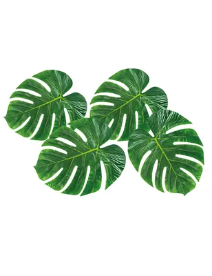 Produktbild von 4 grüne Hawaii Palmen Dekoblätter