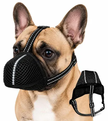 Productafbeelding van Maulkorf voor Kleine Honden, Fressbescherming voor Kleine Rassen