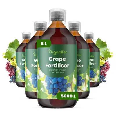 Produktbild von Flüssigdünger für Trauben und Weinreben 5x1L – 2-1-8 NPK - Flüssiger Pflanzendünger für Wachstum, Wurzeln und Ernte - Organifer