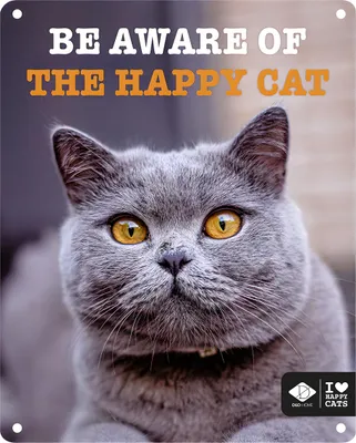 Produktbild von D&D Schild I Love Happy Cats ""