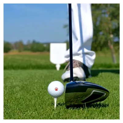 Produktbild von Golfballstempel aus Kunststoff für schnelles Trocknen und einfache Ballidentifikation
