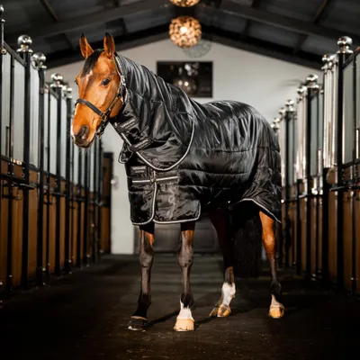 Immagine prodotto di Coperta da stalla Horseware, taglia 125 - Easy-Layer Stable Plus, modello Hvy, 400 grammi