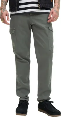 Produktbild von Jack&Jones Pants 12282388-34 in BELUGA color