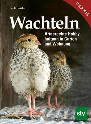 Produktbild von Wachteln
