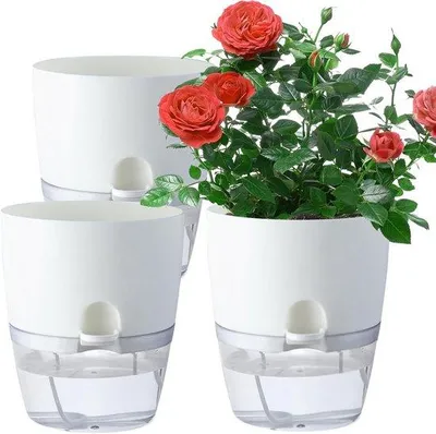 Produktbild von Wasserable Binnenpflanztopf-Set, 15,2 cm (6 Zoll), 3er Pack, ideal für frische Kräuteranbau - Weiß.