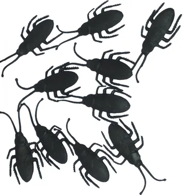 Imagen del producto de Imitaciones de insectos para decoración de Halloween, cucarachas de 7 cm, réplicas de plagas, set para fiestas de terror, color:
