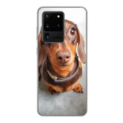 Produktbild von MuchoWow® Handyhülle Schutzhülle Hülle für Samsung Galaxy S20 Ultra Nahaufnahme des Kopfes eines Dackels Silikon Softcase Handy Hülle - Karteninhaber