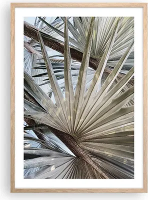 Produktbild von Gerahmtes Poster - Rahmen in heller Eiche - Blatt Palme Natur - 50x70 cm - Wand Bild - Wanddeko - Wandbilder - Kunstposter - Wandposter - Bilderrahmen - Bilder - Kunstdruck - P2NPA50x70-5056