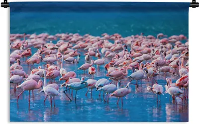 Produktbild von MuchoWow® Wandteppich Wandbehang Flamingo - Wasser - Tropisch - Rosa 90x60 cm Tapisserie Dekoration Wandtuch - Wandskulpturen - Bildteppich