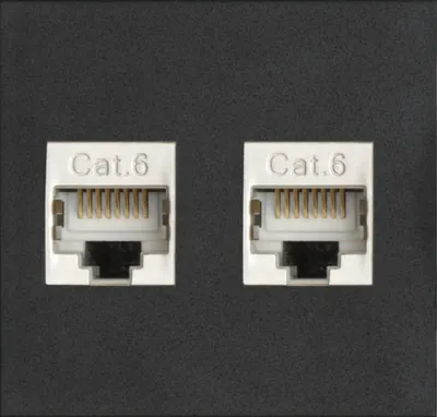 Produktbild von EVOline Wechselmodul Zubehör Modul für Steckdosenelemente 2 x RJ45 CAT6 Buchse vorne und hinten Kunststoff schwarz