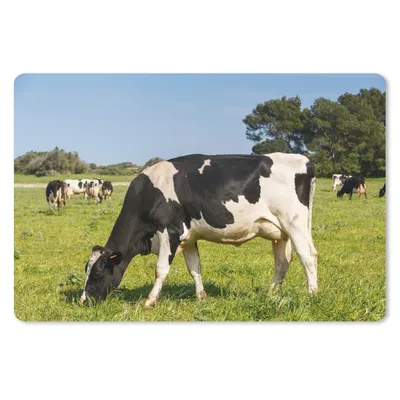 Produktbild von MuchoWow® Schreibtischunterlage Kuh - Gras - Tiere - Wald 60x40 cm - XXL Mauspad - Großes Mauspad