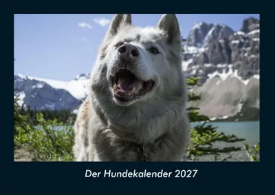 Produktbild von Der Hundekalender 2027 Fotokalender DIN A4
