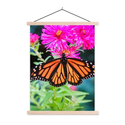 Produktbild von MuchoWow® Textilposter Schmetterling - Botanisch - Blume 120x160 cm mit holzfarbenen Rahmen - Plakatkarton