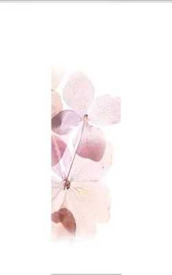 Produktbild von Schiebegardine Digitaldruck Bonita rosa 60x245 cm