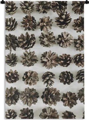 Produktbild von MuchoWow® Wandteppich Wandbehang Tannenzapfen - Winter - Weiß 120x180 cm Tapisserie Dekoration Wandtuch - Schlafzimmer - Dekorationen für das Haus