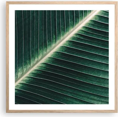 Produktbild von Gerahmtes Poster - Rahmen in heller Eiche - Grün Blatt Tropisch - 60x60 cm - Wand Bild - Wanddeko - Wandbilder - Wandposter - Bilderrahmen - Bilder - Kunstdruck - Wandbild - P2NAC60x60-4126