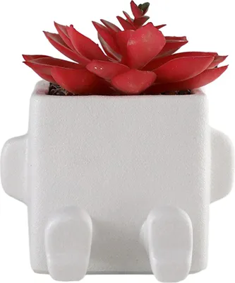 Obrázek produktu pro Sukulentní květináč Cute Keramický sukulentní květináč pro vnitřní venkovní domácí dekorace