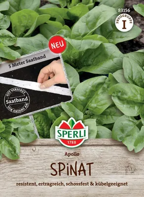 Produktbild von Sperli Spinat Apollo Saatband - Gemüsesamen