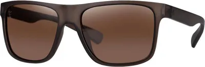Produktbild von Fox Avius Trans Khaki (Brown Lens)