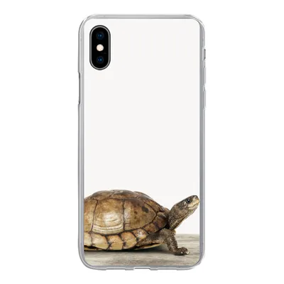 Produktbild von MuchoWow® Handyhülle Schutzhülle Hülle für iPhone Xs Schildkröte - Junge - Tiere - Kinder - Mädchen Silikon Softcase Handy Hülle - Handytasche