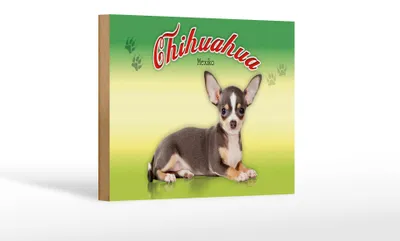 Produktbild von Holzschild Hund 18x12cm Chihuahua Mexiko Wanddeko
