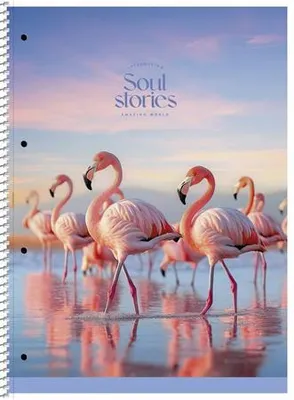 Obrázek produktu pro Spirálový sešit "Soul Stories", mix motivů, A4+, linkovaný, 80 listů, SHKOLYARYK A4-080-6711L