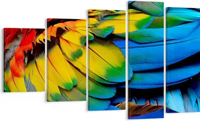Produktbild von Bild auf Leinwand - Leinwandbild - Feder Papagei Vogel - 100x60cm - Wand Bild - Wanddeko - Leinwanddruck - Bilder - Kunstdruck - Wanddekoration - Leinwand bilder - Wandkunst - EG100x60-3428
