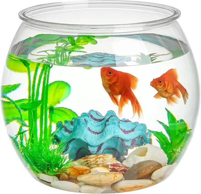 Imagen del producto de Acuario para peces dorados, de plástico transparente, pequeño, ideal para la cocina