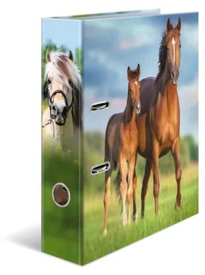 Image de HERMA, classeur A4, motif cheval, lot de 5, largeur 7 cm, classeur à anneaux pour enfants avec motif animal