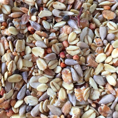 A close-up, overhead view of a mixture of birdseed.