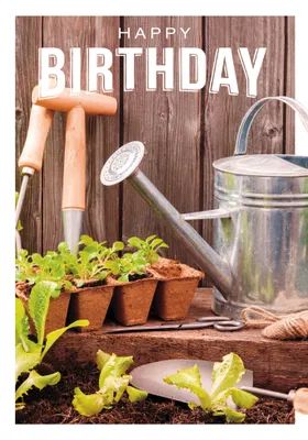Produktbild von Geburtstag  Glückwunschkarte im Format 115x17cm mit Umschlag