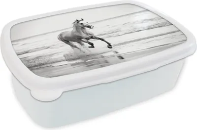 Obrázok produktu pre KitchenYeah® Obedový box Obedový box 17x11 cm Kone - Vzduch - More Detský obedový box - Sendvičový box - Školský box - Obedové boxy - Deti