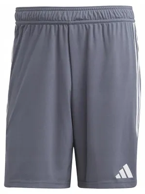 Obrázek produktu pro Adidas - Pánské šortky „Tiro 23 League“ PP1030 (M) (šedá/stříbrná)