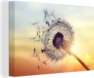 Produktbild von OneMillionCanvasses® - Leinwandbilder - 140x90 cm, Löwenzahn, Wandbilder Kunstdruck Wanddekoration - Foto auf Leinwand - Gemälde auf Holzrahmen