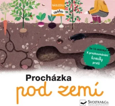 Image de Procházka pod zemí - Následuj cestu (de Lambilly Élisabeth)